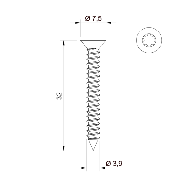 Stainless screw 3.9 x 32 mm