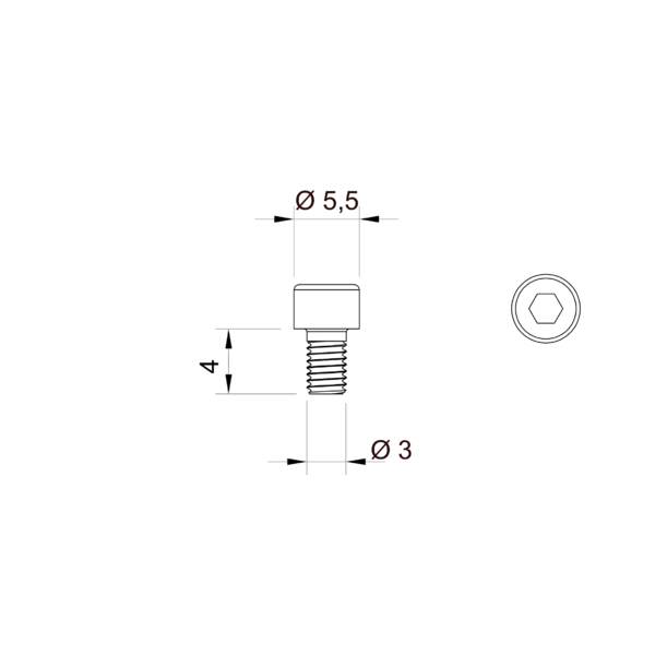 Verzinkte Imbusschraube M3 x 4 mm